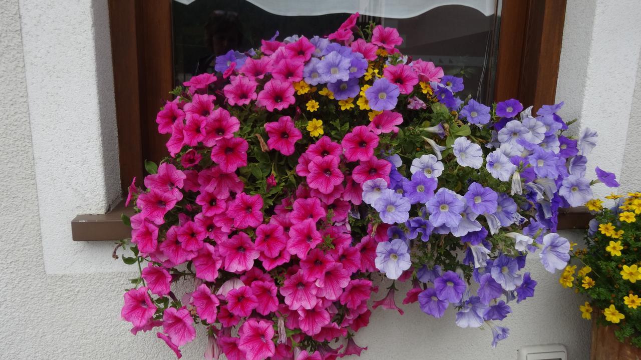Garni Gimea Hotell Livigno Exteriör bild